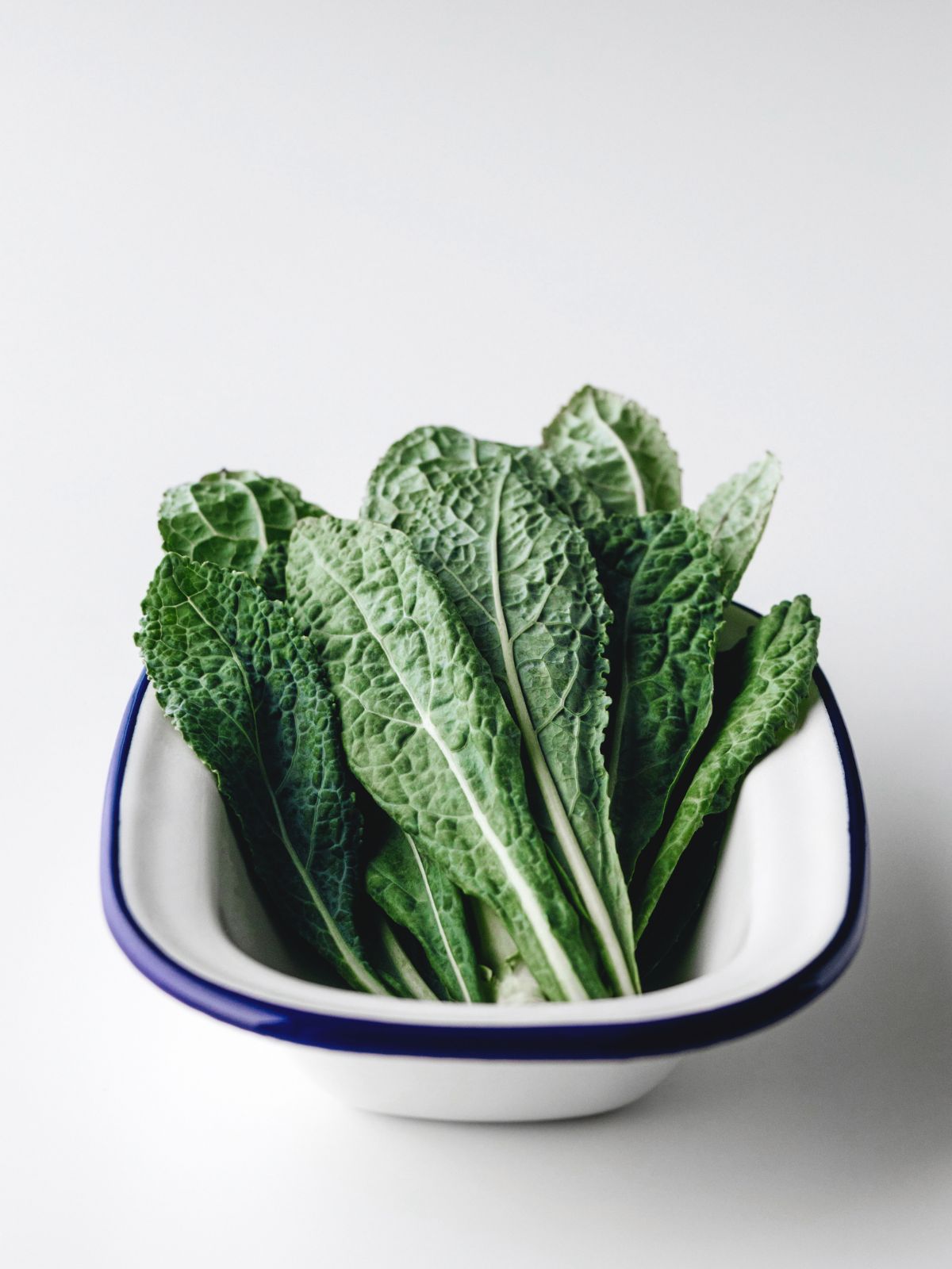 everything to know about kale 101
